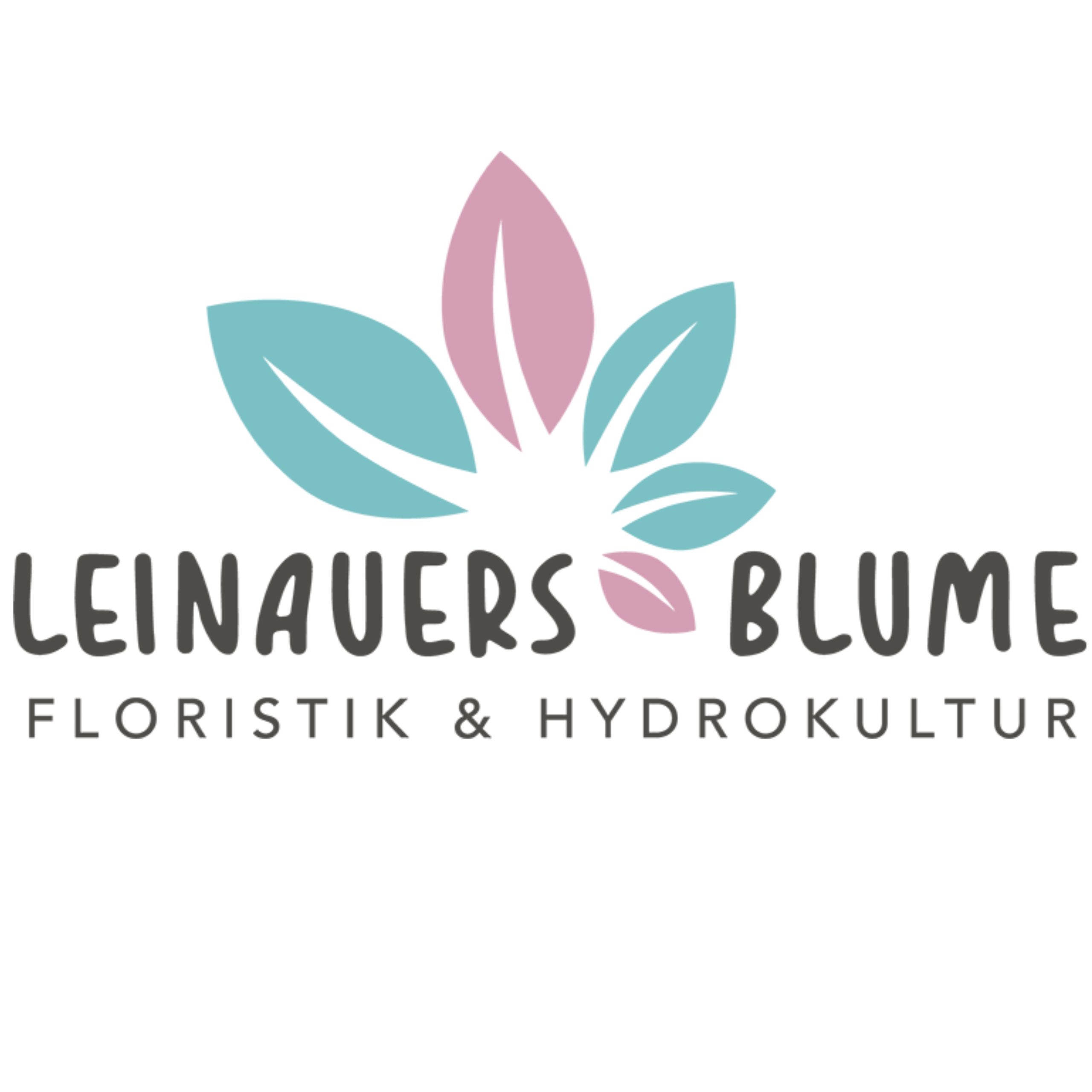 Leinauers Blume