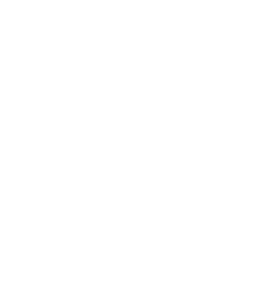 Courtex