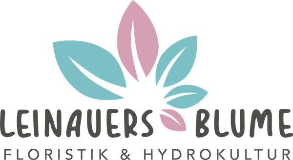 Leinauers Blume